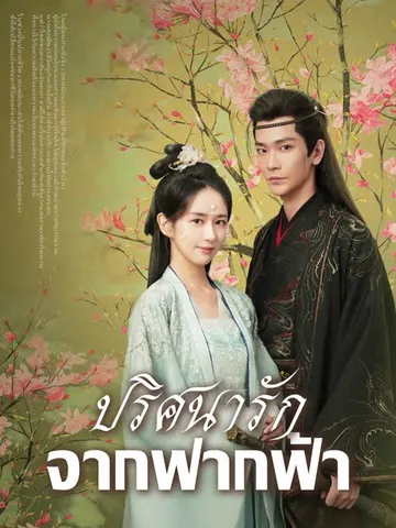 ปริศนารักจากฟากฟ้า