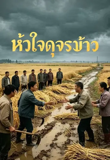 หัวใจดุจรวงข้าว