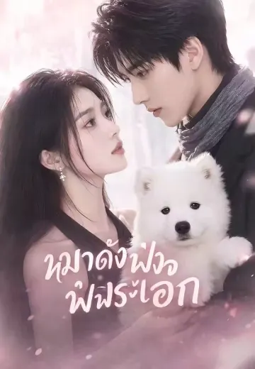 หมาดังฟังใจพระเอก