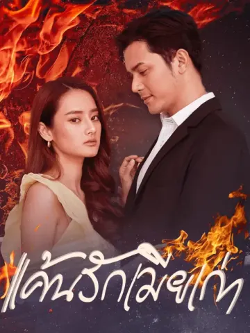แค้นรักเมียเก่า