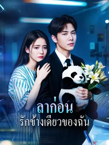 ลาก่อนรักข้างเดียวของฉัน